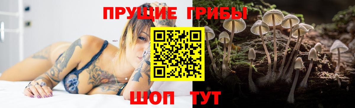 где купить наркотик  Вход с VPN  Нефтеюганск  Галлюциногенные грибы мицелий 